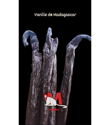 Vanille Premium Madagascar 22cm