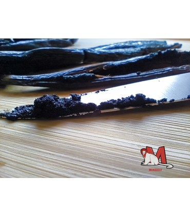 Vanille Premium Madagascar 22cm (1 gousse)