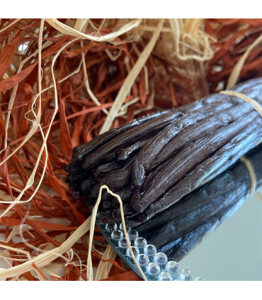 Vanille Bourbon "Premium"