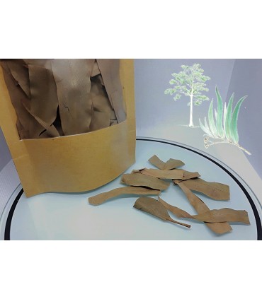 Eucalyptus ou Kininina Oliva