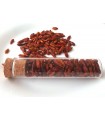 Piment oiseau